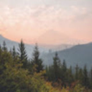 Meet your Posher, Carley